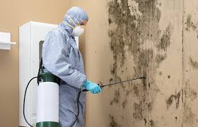 Best Mold Documentation for Insurance Claims in White City, OR